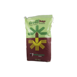 GREENSAP 20-20-20 DA 10 KG