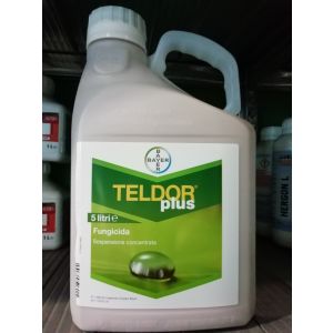 TELDOR PLUS DA 5 LT