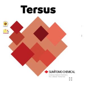 TERSUS DA 1 LT