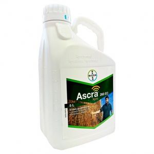 ASCRA XPRO EC260 DA 1 LT