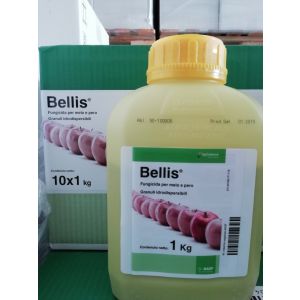 BELLIS DA 1 KG