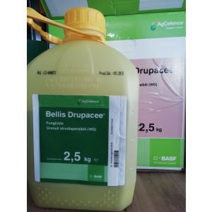 BELLIS DRUPACEE DA 2,5 KG