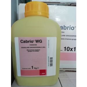 CABRIO WG DA 1 KG