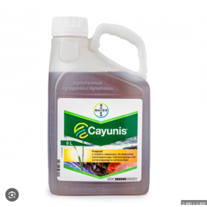 CAYUNIS DA 5 LT